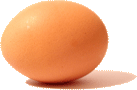Country-fresh breakfast egg.