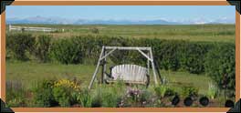 Swinging chair.