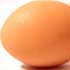 Country fresh chicken egg.