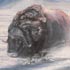 Muskox Thunder painting.