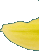 Daffodil.